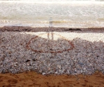 Circle 777x437 - 1